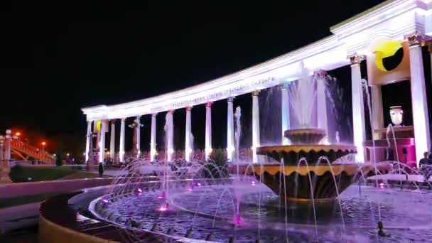 Efek Glitch Almaty Kazakhstan Agustus 2016 Kelompok Masuk Taman Presiden — Stok Video