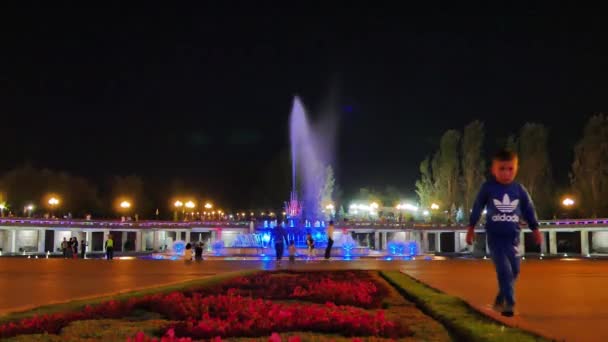 글리치 알마티 카자흐스탄 2016 대통령의 공원의 비디오 울트라Hd — 비디오