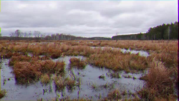 Effet scintillant. L'herbe sèche est gelée. Mouvement sur le curseur. La Russie. Vidéo. UltraHD (4K )