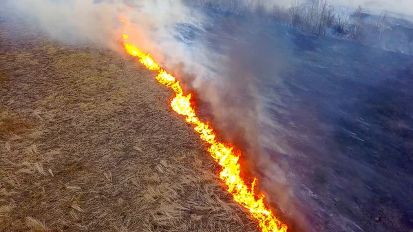 Un grand feu. L'herbe sèche brûle. beaucoup de fumée. Ekaterinburg, Russie, De Dron — Photo