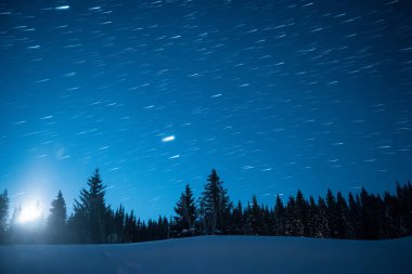Yıldızlı gökyüzü çam ağaçları arka planda. Ay yükselişi. Trac bırakın