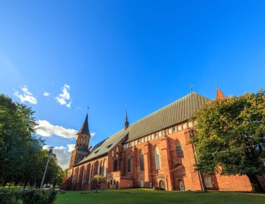 Kaliningrad, Kaliningrad kedi şehir merkezi parçası