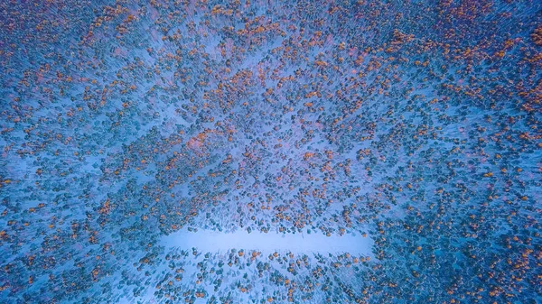 Der Abstieg aus einer Höhe über dem Winterwald. Winter, klares Wetter. Sonnenuntergang, von Drohne, Kopf über Kopf erschossen — Stockfoto