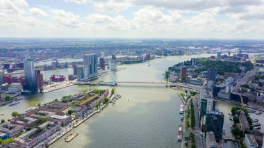 Rotterdam, Hollanda. Nieuwe Maas Nehri üzerinde Norderayland Adası (Kuzey Adası) ve Erasmus Köprüsü (Erasmusbrug), Hava Manzarası 