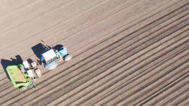Rusya, Urallar. Patatesleri tarlada bir traktör ve bir kombinasyon ile ekiyorlar. Bahar, Havadan Görünüm  