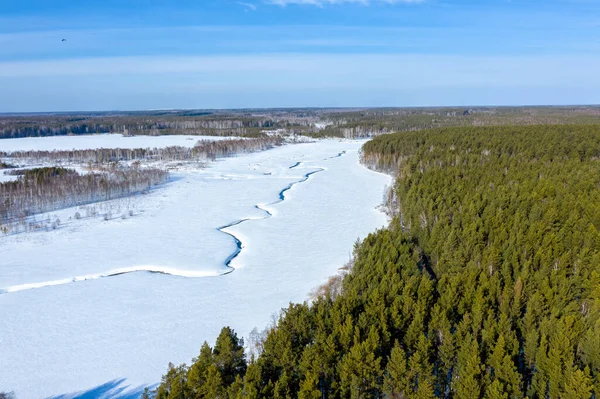 Поле Сосновый Лес Болото Снегом Маленькая Река Вид Воздуха Солнечную — стоковое фото