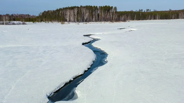 Летать Зимой Над Болотом Покрытым Лесом Маленькая Река Снегу Вид — стоковое фото