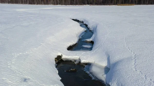 Летать Зимой Над Болотом Покрытым Лесом Маленькая Река Снегу Вид — стоковое фото