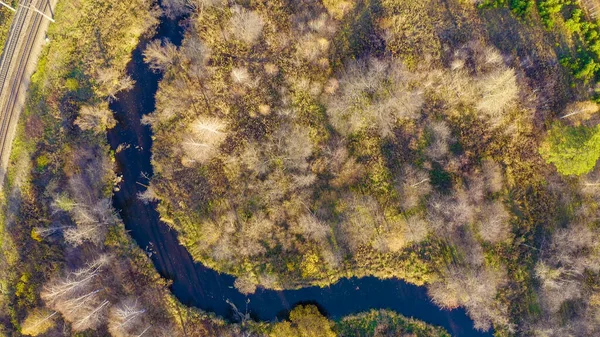 Russland Ural Jekaterinburg Dunkler Fluss Vor Dem Hintergrund Des Herbstwaldes — Stockfoto