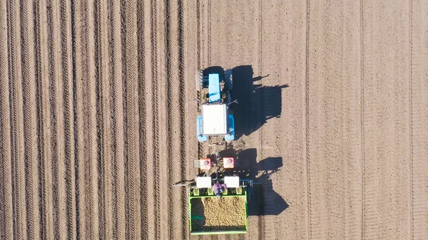 Rusia Los Urales Plantar Patatas Campo Con Una Cosechadora Tractor —  Fotos de Stock