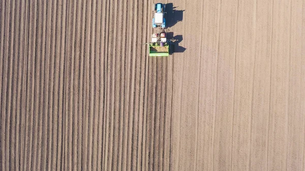 Rússia Urais Plantando Batatas Campo Com Uma Combinação Trator Primavera — Fotografia de Stock