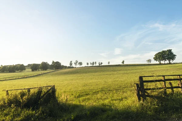 Campo Agricolo Winterberg Germania — Foto Stock