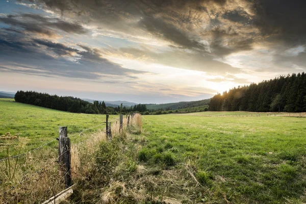 Farm Field Winterberg Germany Stock Picture