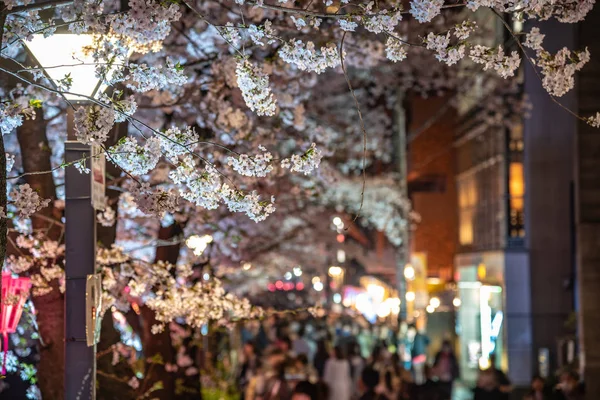 Saison Des Fleurs Cerisier Tokyo Rivière Meguro Japon — Photo