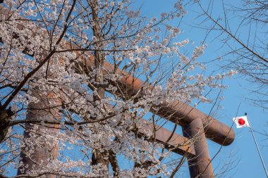 Yasukuni Tapınak, Tokyo, Japonya, kiraz çiçeği. ünlü turistik Tokyo, Japonya'da spot. Yasukuni tapınak Sakura Festivali için ilâ 300 bin kişi tarafından ziyaret edilmiştir.