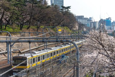 Sotobori Park boyunca dış hendek, Jr Chuo satırlı, Sobu-Line Yotsuya İstasyonu Iidabashi istasyonundan izleyen ünlü kiraz çiçekleri spot olduğunu.