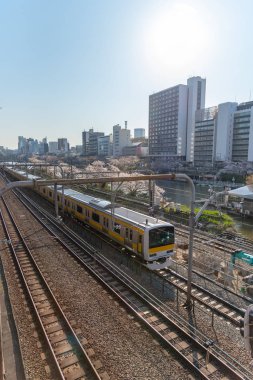 Sotobori Park boyunca dış hendek, Jr Chuo satırlı, Sobu-Line Yotsuya İstasyonu Iidabashi istasyonundan izleyen ünlü kiraz çiçekleri spot olduğunu.