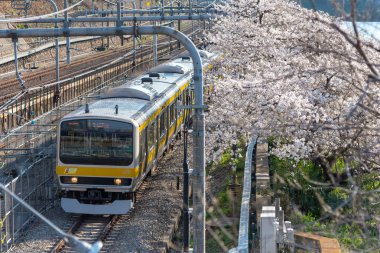 Sotobori Park boyunca dış hendek, Jr Chuo satırlı, Sobu-Line Yotsuya İstasyonu Iidabashi istasyonundan izleyen ünlü kiraz çiçekleri spot olduğunu.