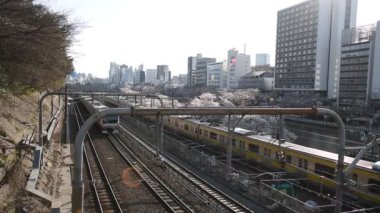Sotobori Park boyunca dış hendek, Jr Chuo satırlı, Sobu-Line Yotsuya İstasyonu Iidabashi istasyonundan izleyen ünlü kiraz çiçekleri spot olduğunu.