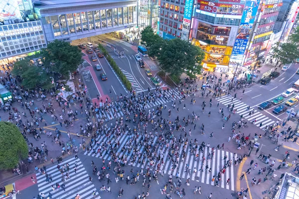 東京都渋谷区渋谷 2035 の歩行者横断歩道 世界で最も忙しい横断歩道の一つは 渋谷の交差点 — ストック写真