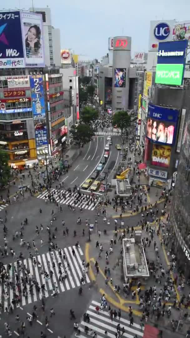 Shibuya Tokio Japonsko Dubna 2053 Pěší Přechod Pro Chodce Čtvrti — Stock video