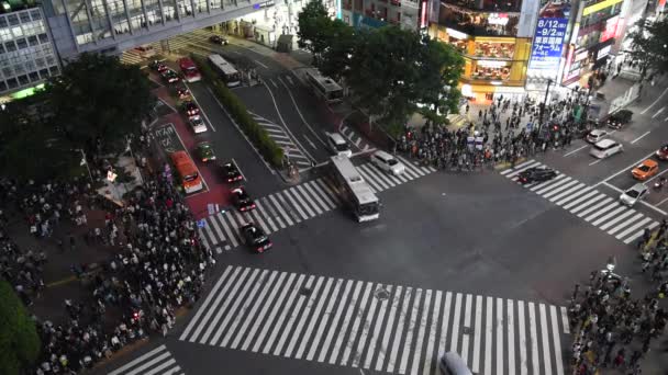 시부야 2018 보행자 도쿄의 시부야 지구에서 시부야 세계에서 Crosswalks 하나입니다 — 비디오