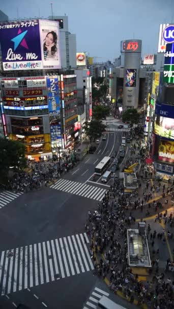 Shibuya Tokió Japán 2018 Április Gyalogosok Crosswalk Shibuya District Tokió — Stock videók