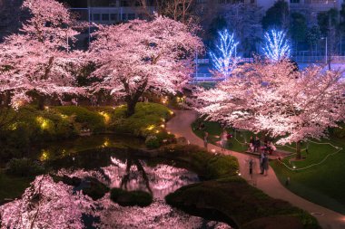 Roppongi, Tokyo, Japonya - 26 Mart 2018: görünüm kiraz çiçek Mori Garden'da, Tokyo, Japonya. 