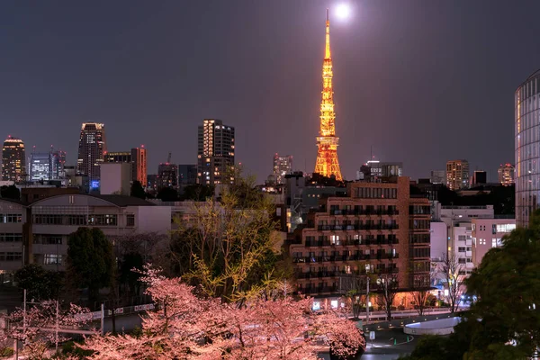 東京タワー 東京都 モダンなランドマーク タワー — ストック写真