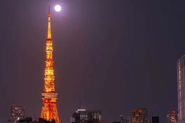 東京タワー 東京都 モダンなランドマーク タワー — ストック写真