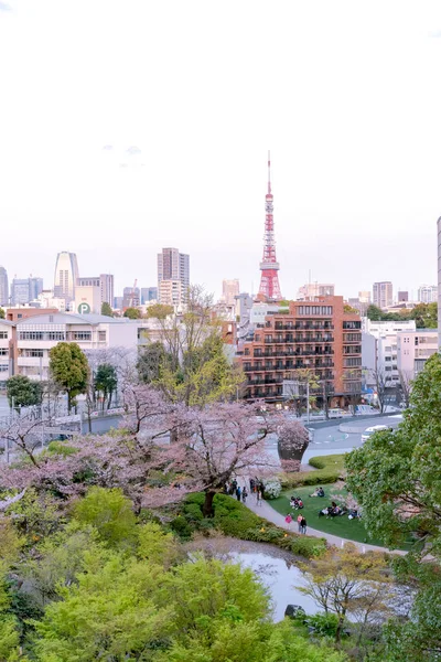 Ронги Токио Япония Марта 2018 Года Вид Вишневый Сад Мори — стоковое фото