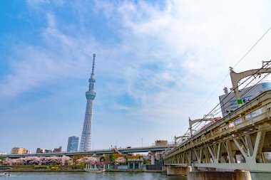 Tokyo Skytree Kulesi Sumida Park'ta tam Bloom kiraz çiçekleri ile. Cruise gemi ve su bir sürü Sumida Nehri üzerinde otobüs yolculuğu.