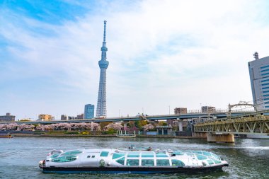 Tokyo Skytree Kulesi Sumida Park'ta tam Bloom kiraz çiçekleri ile. Cruise gemi ve su bir sürü Sumida Nehri üzerinde otobüs yolculuğu.