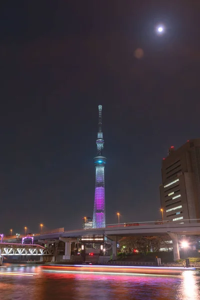 Вид Башню Tokyo Skytree Парке Сумида Реке Сумида Много Круизных — стоковое фото