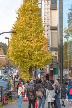 Harajuku, Tokyo, Japonya - 21 Aralık 2018: ginkgo ağacı Tokyo, Japonya'da sonbaharda sarı dönüştüğünde Harajuku sokak görünümü.