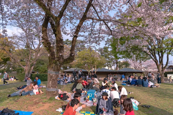 Shizuoka Japón Abril 2018 Festival Shizuoka Shizuoka Matsuri Con Flores —  Fotos de Stock