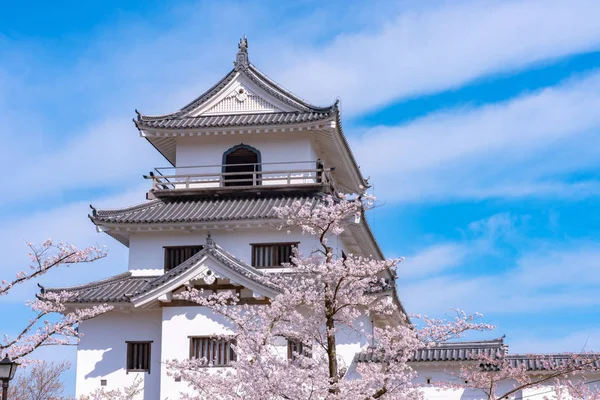 Castello Shiroishi Con Fiori Ciliegio Cielo Blu — Foto Stock