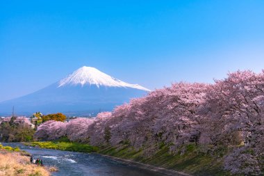 Fuji City, Shizuoka İli Ryuganbuchi