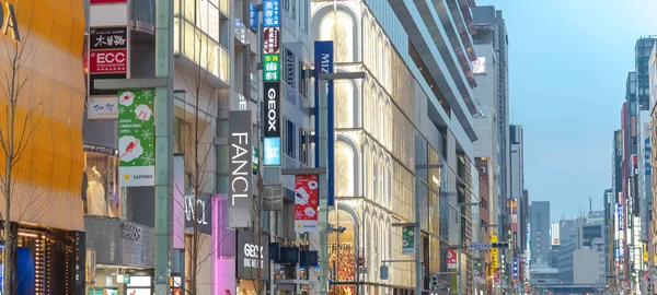 Ginza Tokyo Japan Dezember 2018 Nachtansicht Des Ginza District Der — Stockfoto