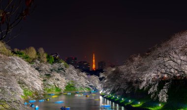 Bahar sezonu etrafında Tokyo Chidorigafuchi park (Edo Kalesi Kuzey bölümü) tam bloom kiraz çiçeği. Birçok ziyaretçiler Japonya kiraz çiçeği sezonunda seyahat seçin.