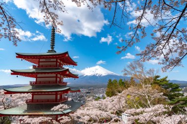 Fuji Dağı'nın görüntülendi Chureito Pagoda arkasından tam bloom kiraz çiçekleri bahar güneşli gün berrak mavi gökyüzünün doğal arka planda. Arakurayama Sengen Park, Fujiyoshida, Yamanashi ili, Japonya