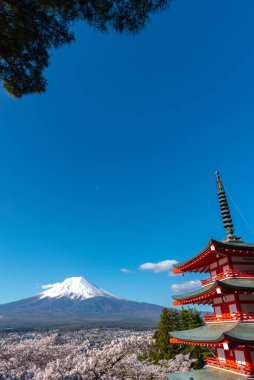 Fuji Dağı'nın görüntülendi Chureito Pagoda arkasından tam bloom kiraz çiçekleri bahar güneşli gün berrak mavi gökyüzünün doğal arka planda. Arakurayama Sengen Park, Fujiyoshida, Yamanashi ili, Japonya
