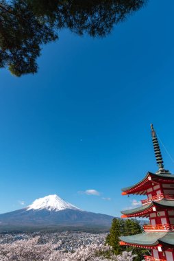 Fuji Dağı'nın görüntülendi Chureito Pagoda arkasından tam bloom kiraz çiçekleri bahar güneşli gün berrak mavi gökyüzünün doğal arka planda. Arakurayama Sengen Park, Fujiyoshida, Yamanashi ili, Japonya