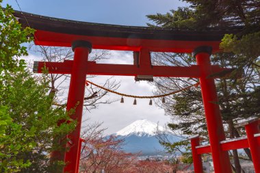 Yakın çekim yakın geçitte Fuji Dağı'nın (Mt. Fuji) içinde kiraz çiçekleri bahar güneşli gün berrak mavi gökyüzünün doğal arka plan ile. Arakurayama Sengen Park, Fujiyoshida City, Yamanashi ili, Japonya