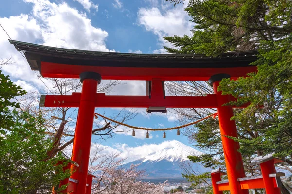 Primo Piano Porta Torii Con Monte Fuji Fuji Fiori Ciliegio — Foto Stock