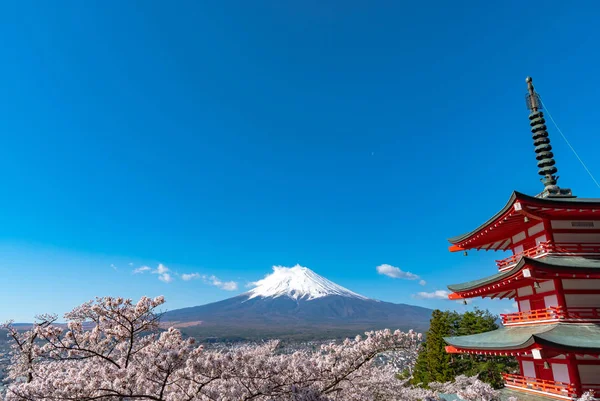 Monte Fuji Visto Dietro Chureito Pagoda Piena Fioritura Fiori Ciliegio — Foto Stock