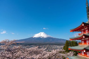 Fuji Dağı'nın görüntülendi Chureito Pagoda arkasından tam bloom kiraz çiçekleri bahar güneşli gün berrak mavi gökyüzünün doğal arka planda. Arakurayama Sengen Park, Fujiyoshida, Yamanashi ili, Japonya