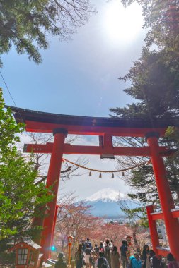Fujiyoshida City, Yamanashi ili, Japonya 8 Nisan 2018: yakın geçitte Fuji Dağı'nın (Mt. Fuji) içinde kiraz çiçekleri bahar güneşli gün berrak mavi gökyüzünün doğal arka plan ile. Arakurayama Sengen Park, Fujiyoshida City, Yamanashi ili, Japonya