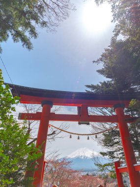Yakın çekim yakın geçitte Fuji Dağı'nın (Mt. Fuji) içinde kiraz çiçekleri bahar güneşli gün berrak mavi gökyüzünün doğal arka plan ile. Arakurayama Sengen Park, Fujiyoshida City, Yamanashi ili, Japonya