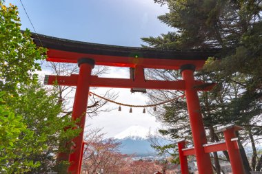 Yakın çekim yakın geçitte Fuji Dağı'nın (Mt. Fuji) içinde kiraz çiçekleri bahar güneşli gün berrak mavi gökyüzünün doğal arka plan ile. Arakurayama Sengen Park, Fujiyoshida City, Yamanashi ili, Japonya